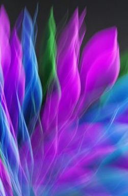 an toàn 2026 MB66